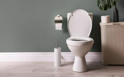 When To Replace Your Toilet