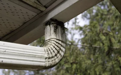 Signs Your Underground Downspout Drain Is Clogged