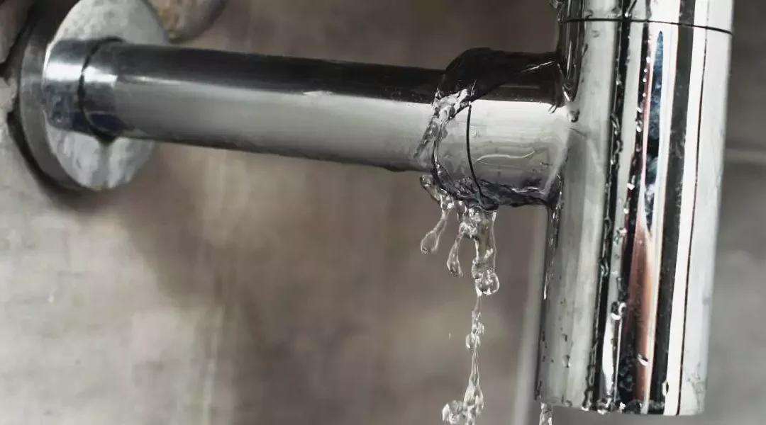 Common Signs You Have A Water Leak