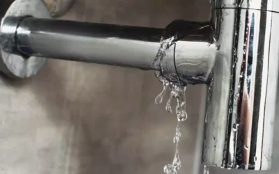 Common Signs You Have A Water Leak