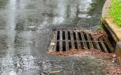 How To Maintain Your Catch Basin