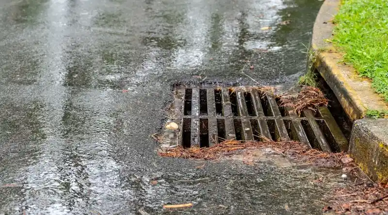 Storm drain on wet street