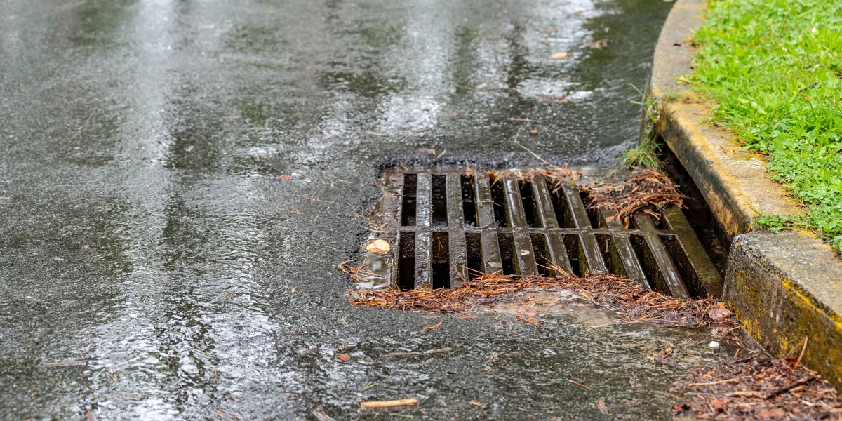 Storm drain on wet street.